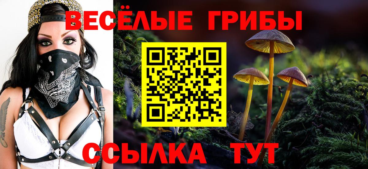 хочу наркоту  Вход с VPN  Сланцы  Галлюциногенные грибы мицелий 
